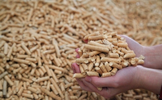 鋸末顆粒機生物質顆粒，你需要知道的常識問題